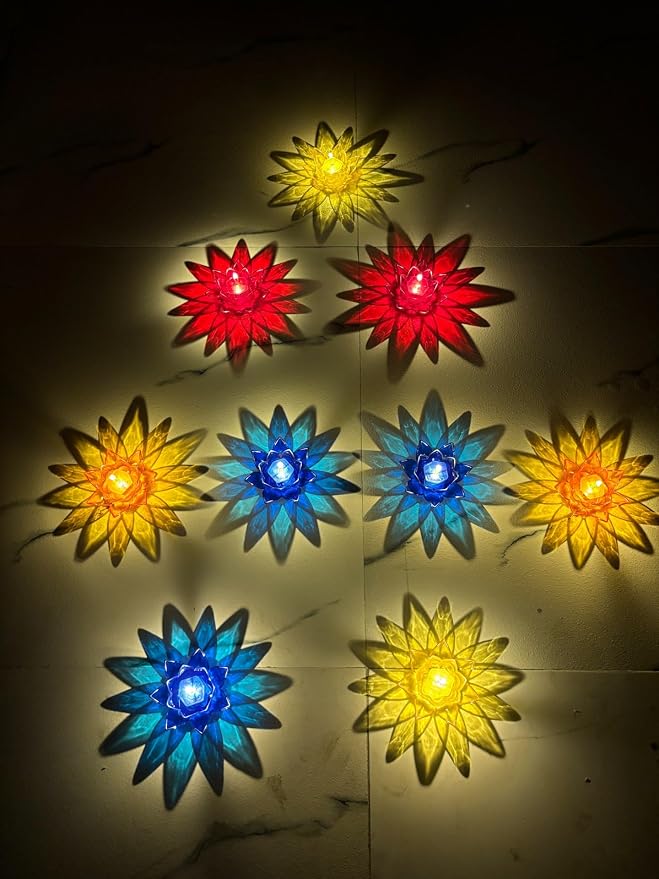 24231
